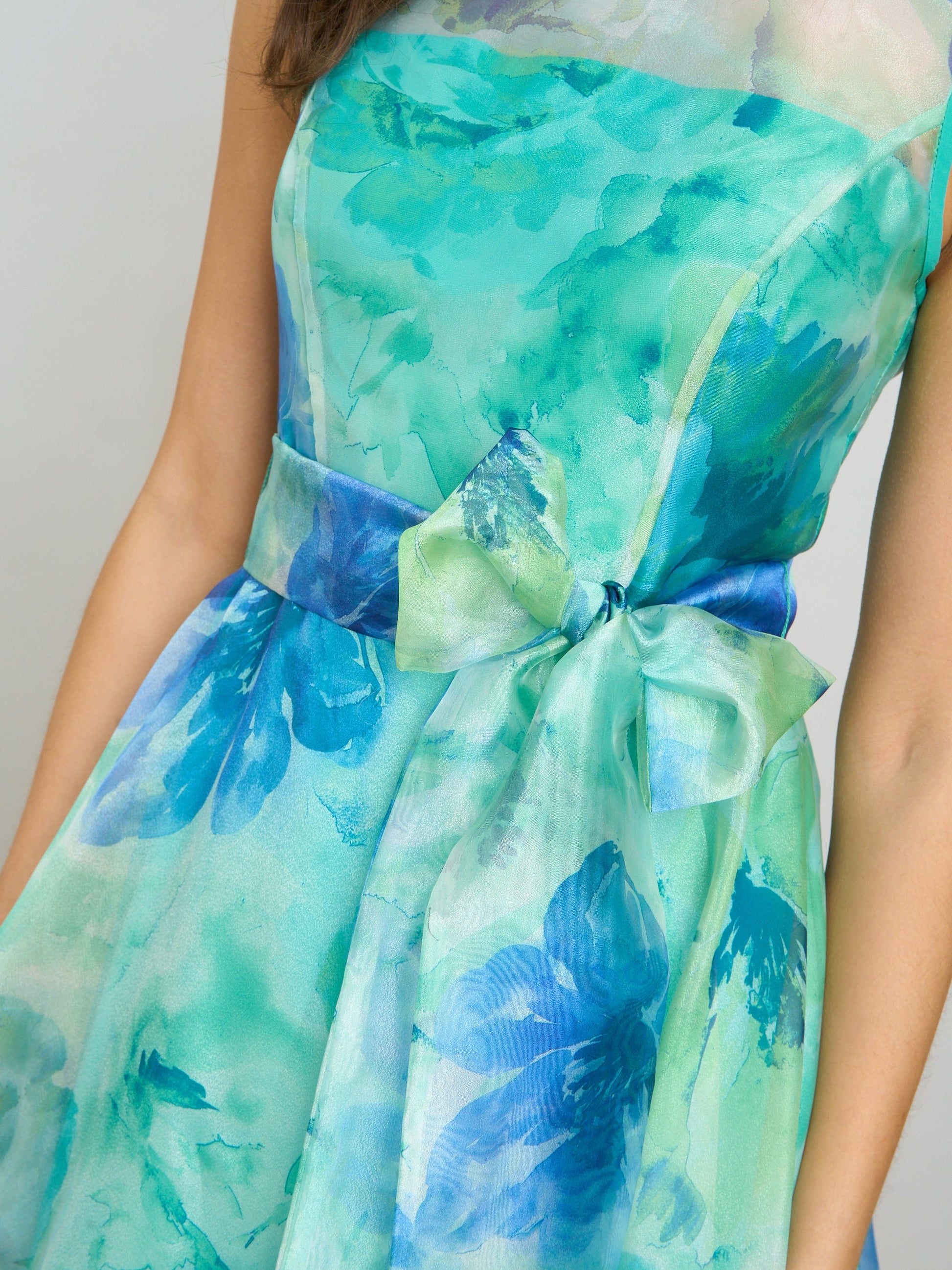  Amy Printed Organza Maxi Dress