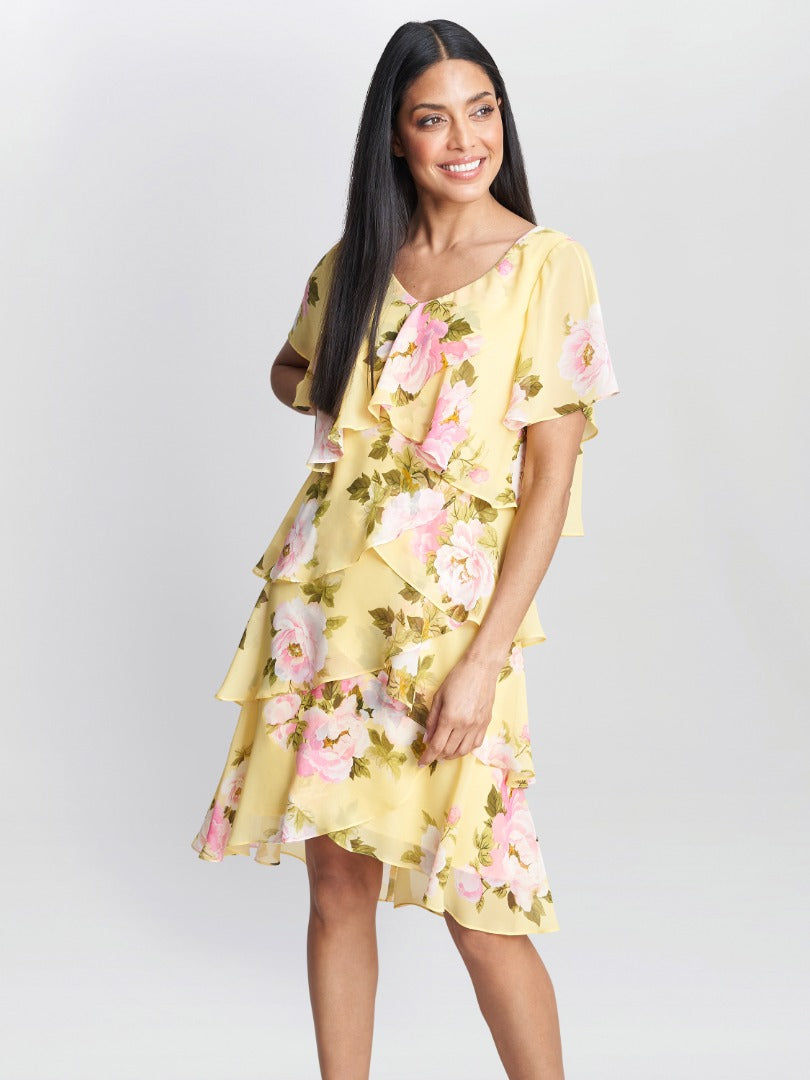  Edith Printed V Neck Tiered Dress
